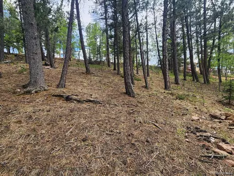 114 Appleby St, Bailey, CO 80421 photo 28