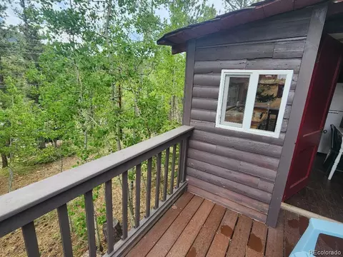 114 Appleby St, Bailey, CO 80421 photo 24