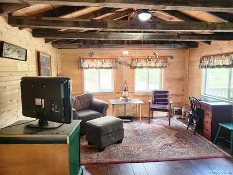 114 Appleby St, Bailey, CO 80421 photo 4