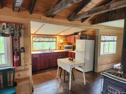 114 Appleby St, Bailey, CO 80421 photo 13