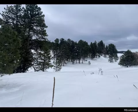 8036 Settlers Dr, Morrison, CO 80456 photo 10