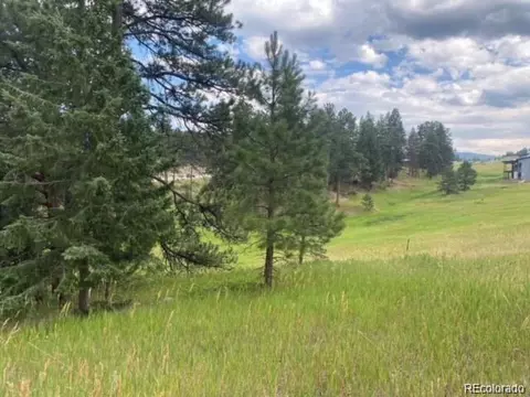8036 Settlers Dr, Morrison, CO 80456 photo 3