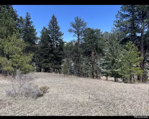 8036 Settlers Dr, Morrison, CO 80456 photo 8