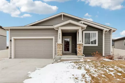 3905 Sweetgum St, Wellington, CO 80549