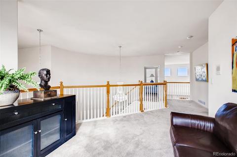 2955 E 135th Pl, Thornton, CO 80241 photo 22