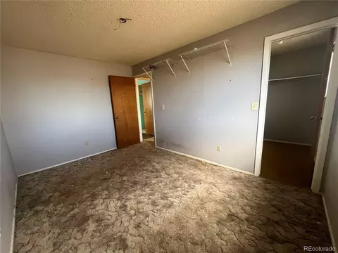 3513 E 117th Pl, Thornton, CO 80233 photo 5