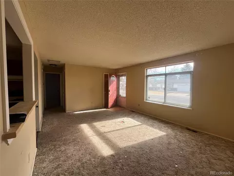 3513 E 117th Pl, Thornton, CO 80233 photo 2