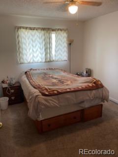 595 3rd St, Bennett, CO 80102 photo 13
