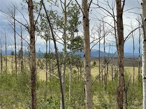 Uintah Trail, Hartsel, CO 80449