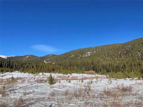 38 Silver Creek Road, Idaho Springs, CO 80452