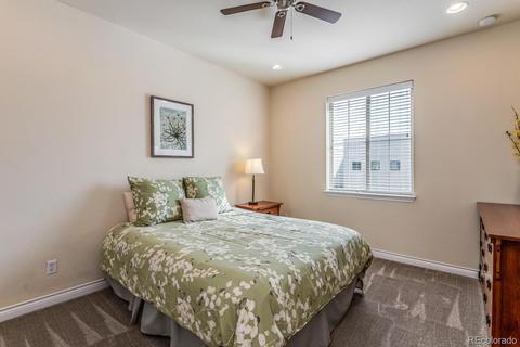 8002 E 29th Pl, Denver, CO 80238 photo 23