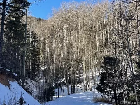 lot5252 Scott Rd, Fort Garland, CO 81133