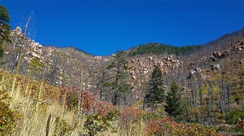 8210 Bear Dance Hts, Cascade, CO 80809 photo 14