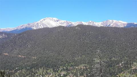 8210 Bear Dance Hts, Cascade, CO 80809 photo 12