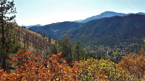 8210 Bear Dance Hts, Cascade, CO 80809 photo 5