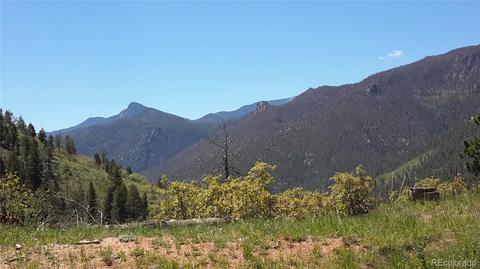 8210 Bear Dance Hts, Cascade, CO 80809 photo 8