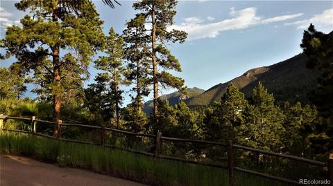 8210 Bear Dance Hts, Cascade, CO 80809 photo 10