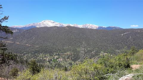 8210 Bear Dance Hts, Cascade, CO 80809 photo 7