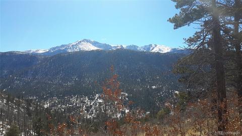 8210 Bear Dance Hts, Cascade, CO 80809 photo 2