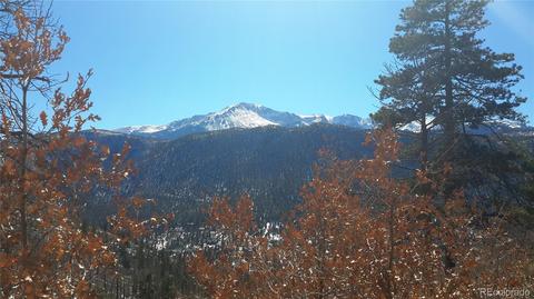 8210 Bear Dance Hts, Cascade, CO 80809 photo 3