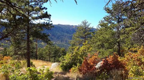 8210 Bear Dance Hts, Cascade, CO 80809 photo 1