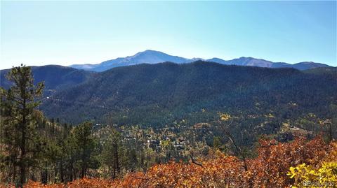8210 Bear Dance Hts, Cascade, CO 80809 photo 13