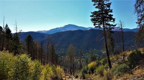 8210 Bear Dance Hts, Cascade, CO 80809 photo 6