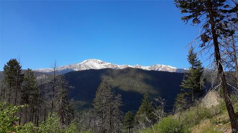 8210 Bear Dance Hts, Cascade, CO 80809 photo 11