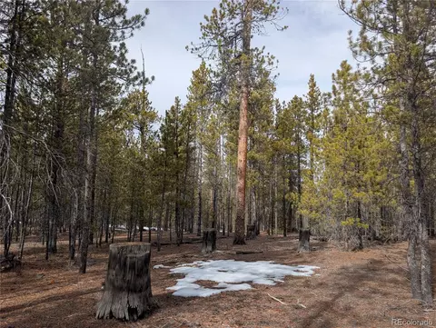 179 Cedar Dr, Twin Lakes, CO 80461