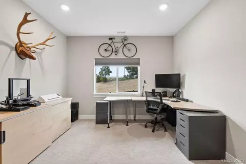 Other - 154 E Lost Pines Dr, Monument, CO 80132 photo 8 of 12