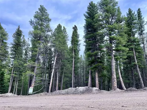 lot171 Lower Forest Rd, Idaho Springs, CO 80452