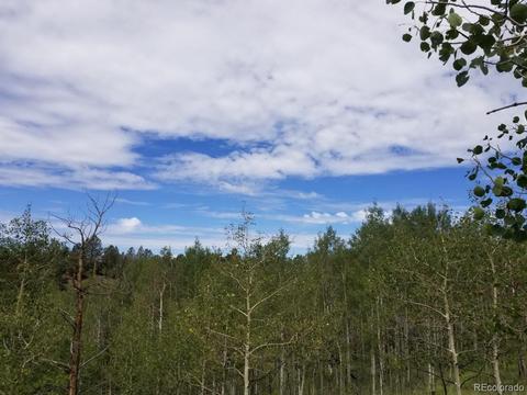 1018 Osprey Rd, Como, CO 80432 photo 12