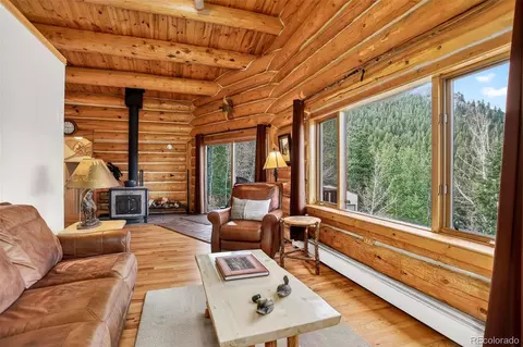 Living - 626 Aspen Ln, Bailey, CO 80421 photo 4 of 5