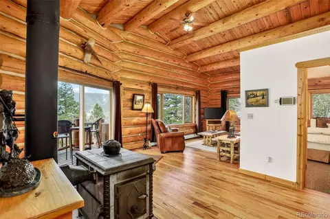 Other - 626 Aspen Ln, Bailey, CO 80421 photo 6 of 11