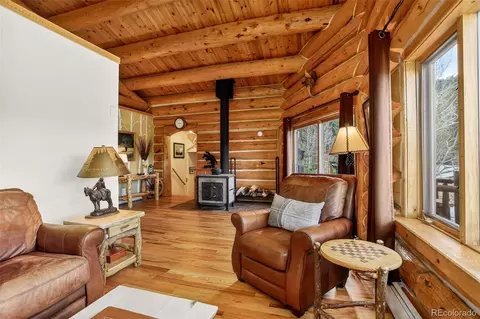 Living - 626 Aspen Ln, Bailey, CO 80421 photo 5 of 5