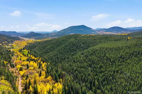 Other - 7823 County Road 43, Bailey, CO 80421 photo 24 of 29