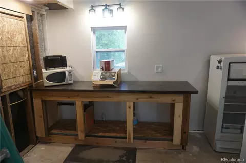 Other - 7823 County Road 43, Bailey, CO 80421 photo 10 of 20