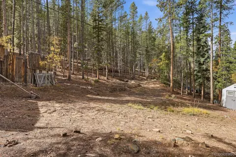 Exterior - 7823 County Road 43, Bailey, CO 80421 photo 3 of 4