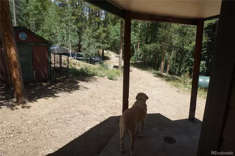 Exterior - 7823 County Road 43, Bailey, CO 80421 photo 9 of 11
