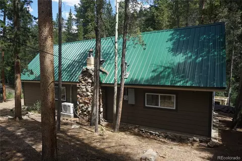 Exterior - 7823 County Road 43, Bailey, CO 80421 photo 7 of 11