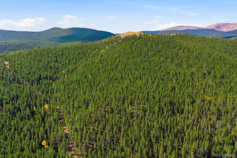 Other - 7823 County Road 43, Bailey, CO 80421 photo 20 of 29