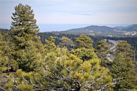 24043 Eagle Cliff Trl, Conifer, CO 80433 photo 35