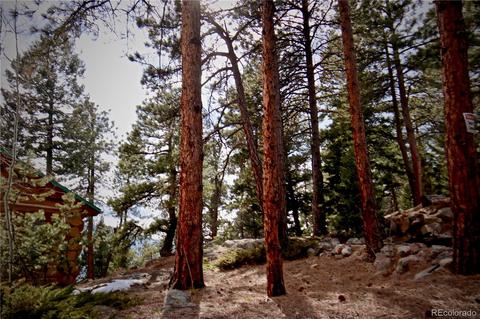 24043 Eagle Cliff Trl, Conifer, CO 80433 photo 31