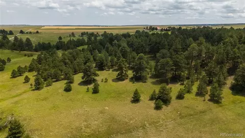 11771 E Smith Rd, Elbert, CO 80106 photo 32
