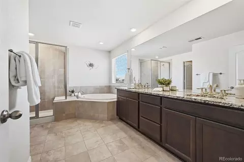 Bath - 2531 E 163rd Pl, Thornton, CO 80602 photo 2 of 4