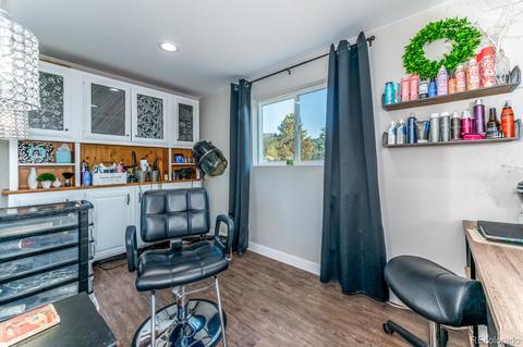 28089 Pine Dr, Evergreen, CO 80439 photo 26
