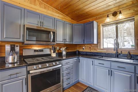 341 Bristlecone Cir, Bailey, CO 80421 photo 24