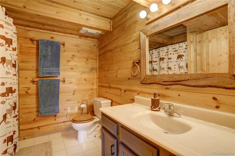 341 Bristlecone Cir, Bailey, CO 80421 photo 27