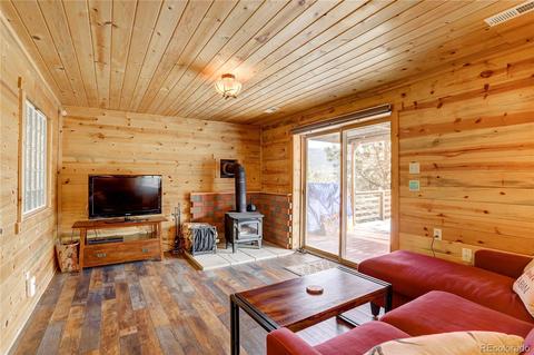 341 Bristlecone Cir, Bailey, CO 80421 photo 7
