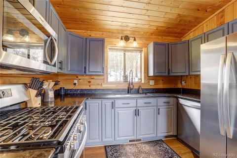 341 Bristlecone Cir, Bailey, CO 80421 photo 25
